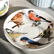 Filiżanka ze spodkiem 0,45 L Brookes Empireware - Birds 33.703-1512