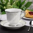 Filiżanka ze spodkiem do kawy 0,25 L / 14,5 cm Ćmielów - Astra B601 MARZENIE PLATYNOWE Gift Box
