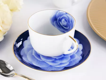 Filiżanka ze spodkiem 0,28 L / 15 cm Porcel - Royal Bloom GIFT BOX 10.ROB.FS28