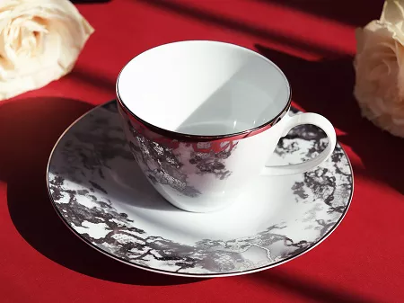 Filiżanka ze spodkiem 0,26 L / 17 cm Porcel - Belle Epoque Platin GIFT BOX 10.BEP.FS26