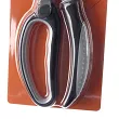 Nożyce do drobiu 23 cm PINTINOX - 23.5873.0923
