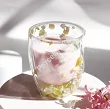 Szklanka termiczna z podwójną ścianką 0,3 L Ecarla - Hortensja Geo Soft 20.SZK88