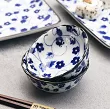 Zestaw do sushi dla 2 osób (4 el.) z pałeczkami Tokyo Design Studio - Shin Kar 22580