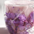 Szklanka termiczna z podwójną ścianką 0,3 L Ecarla - Hortensja Bloom Purple 20.SZK166